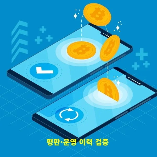 Reputation-Operation-History-Verification